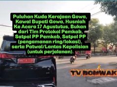 Gowa Maju : Kuda Kerajaan Gowa, Kawal Bupati Gowa Ke Acara 17 Agustus, Bukan Polisi dan Tim Protokol Pemkab, Satpol PP